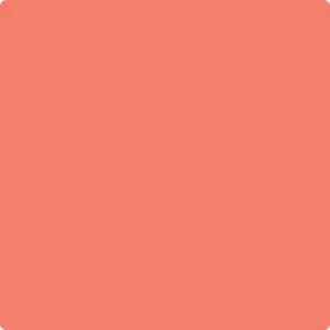 005 Tuscon Coral