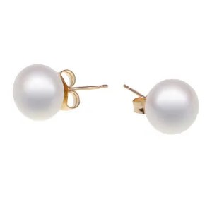 9K Yellow Gold Freshwater Pearl 7.5 -8 mm Stud Earrings