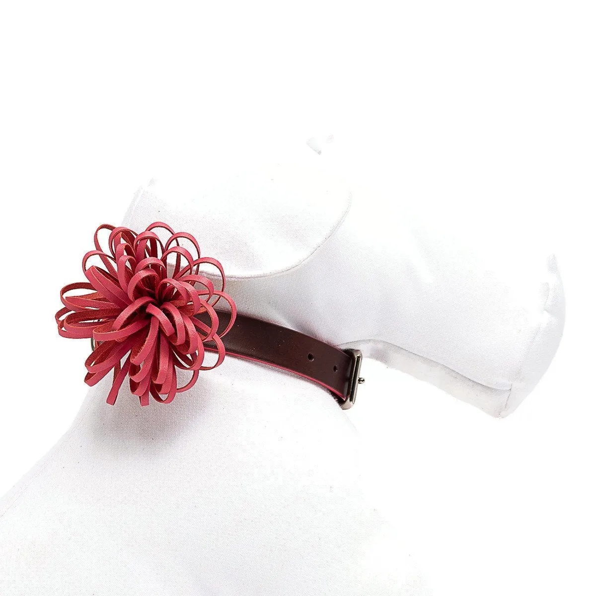 Coral Anemone Dog Collar