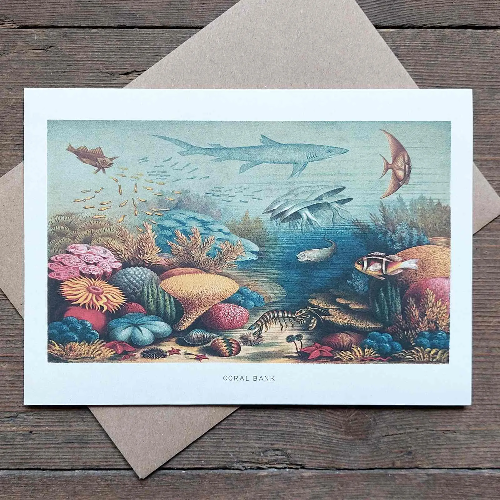 Coral Bank - Greeting Card