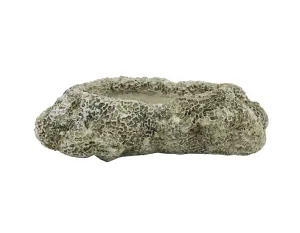 Coral Planter - long