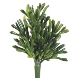 Coral Succulent Pick - 9"