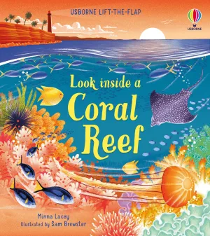 Look Inside a Coral Reef | Usborne Lift the Flap Book