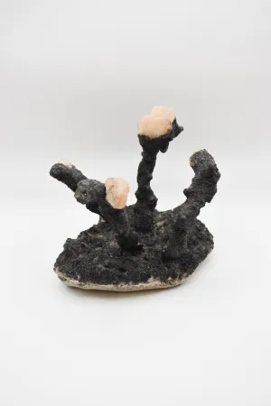 Rare Himalayan Quartz