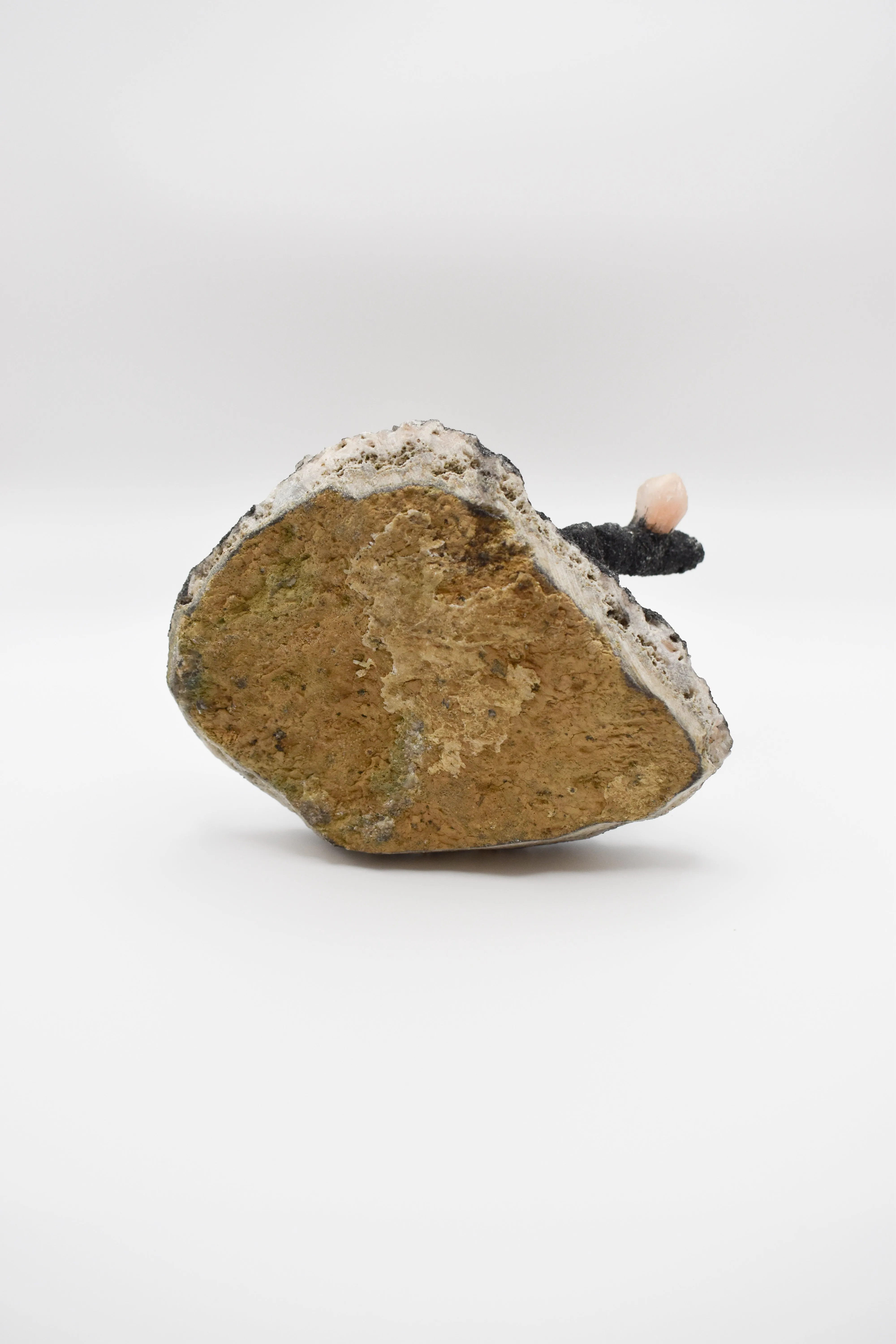 Rare Himalayan Quartz