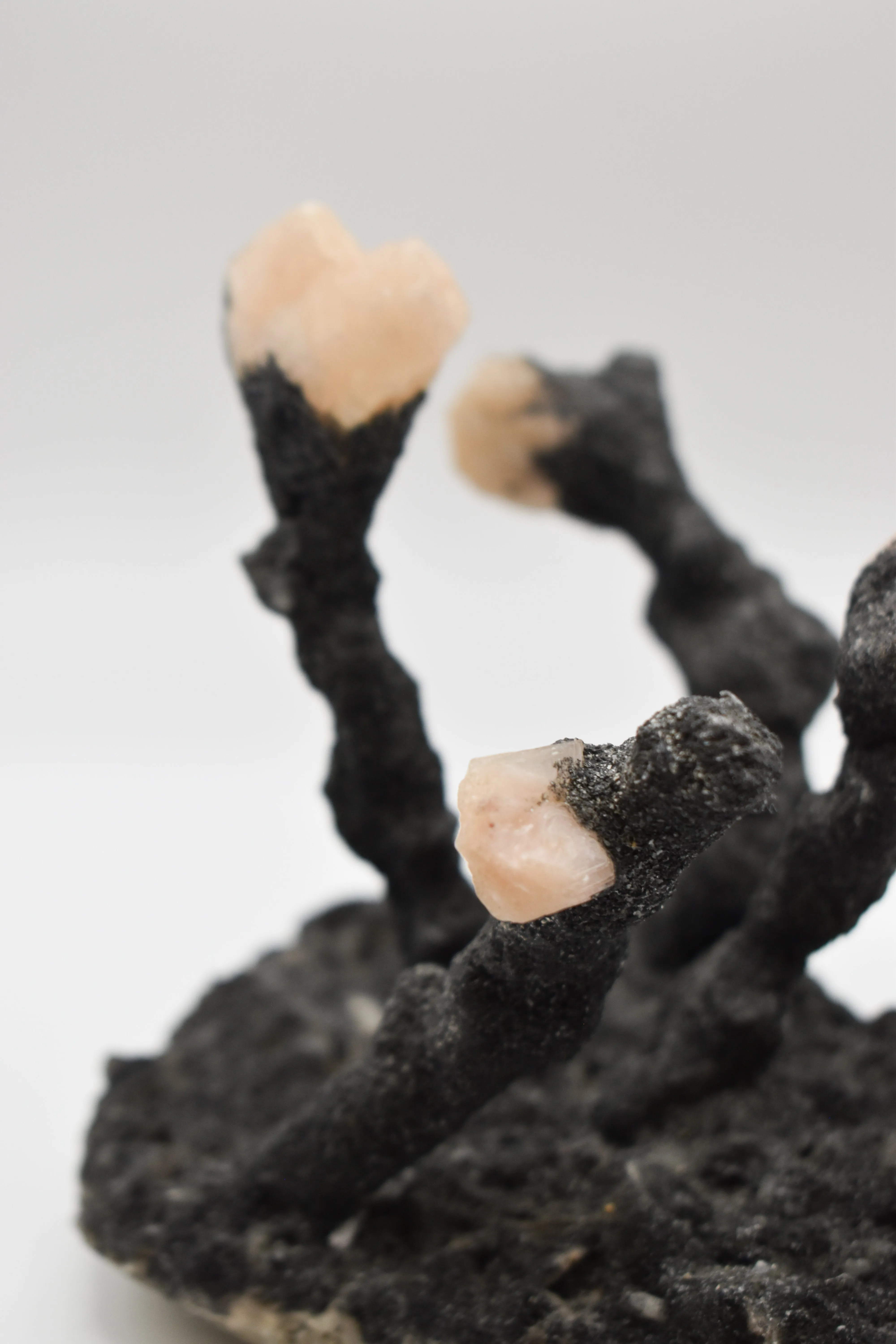 Rare Himalayan Quartz