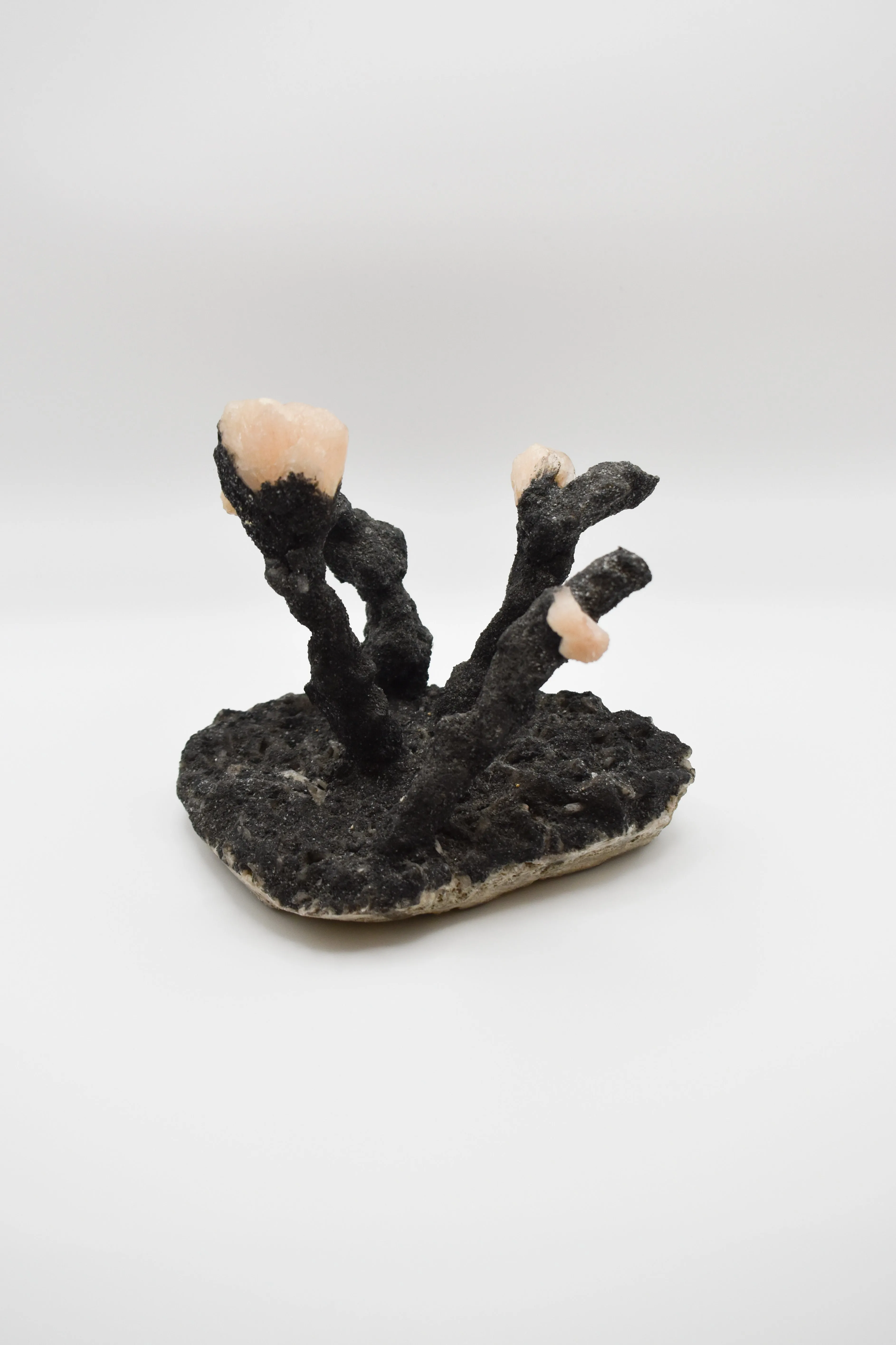 Rare Himalayan Quartz