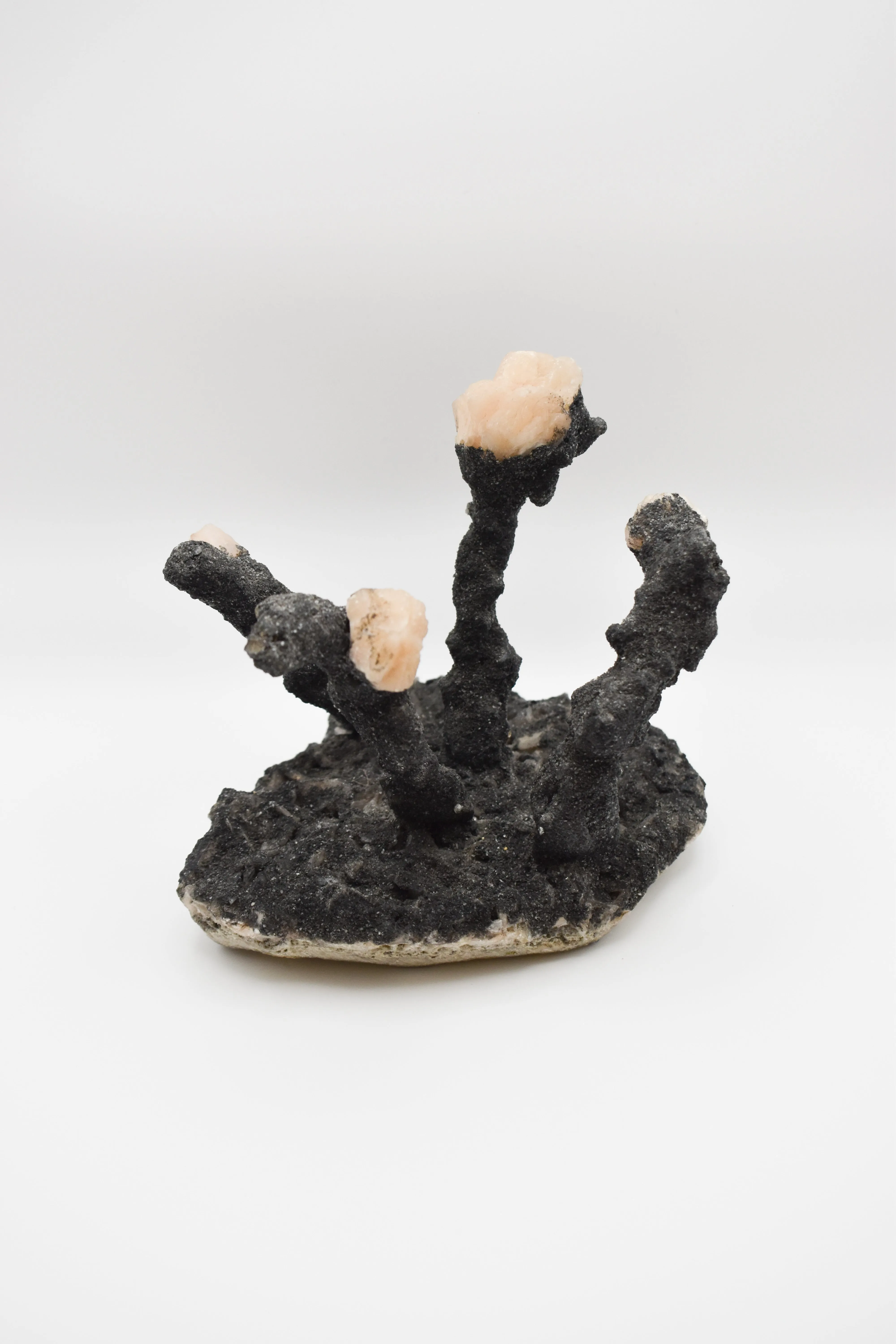 Rare Himalayan Quartz